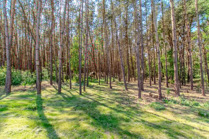 Photo 58 of Groenendries 50