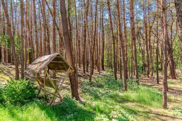 Photo 59 of Groenendries 50