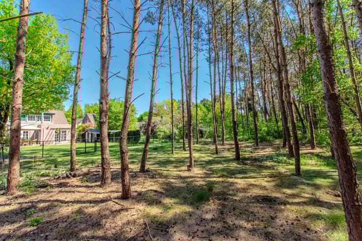 Photo 62 of Groenendries 50