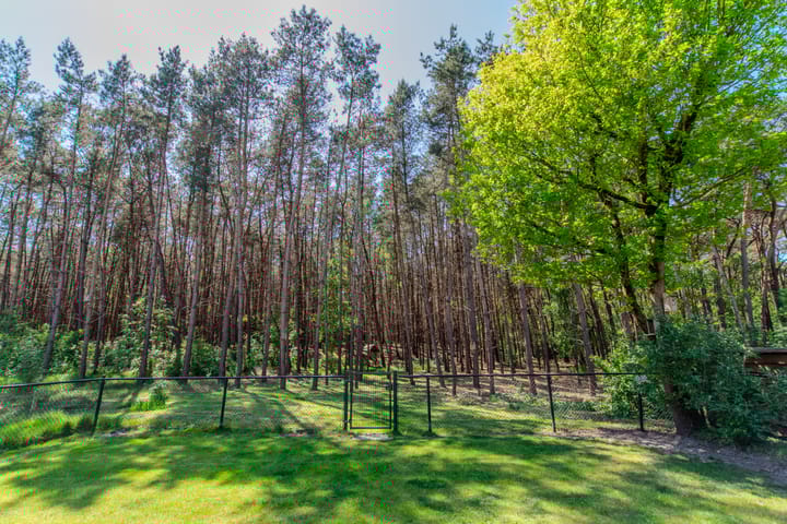 Photo 66 of Groenendries 50