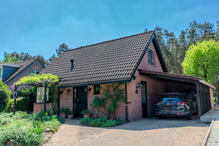 Photo 67 of Groenendries 50