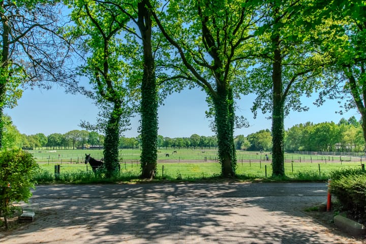 Photo 68 of Groenendries 50