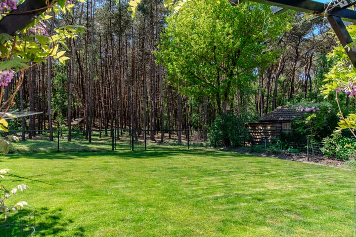 Photo 55 of Groenendries 50