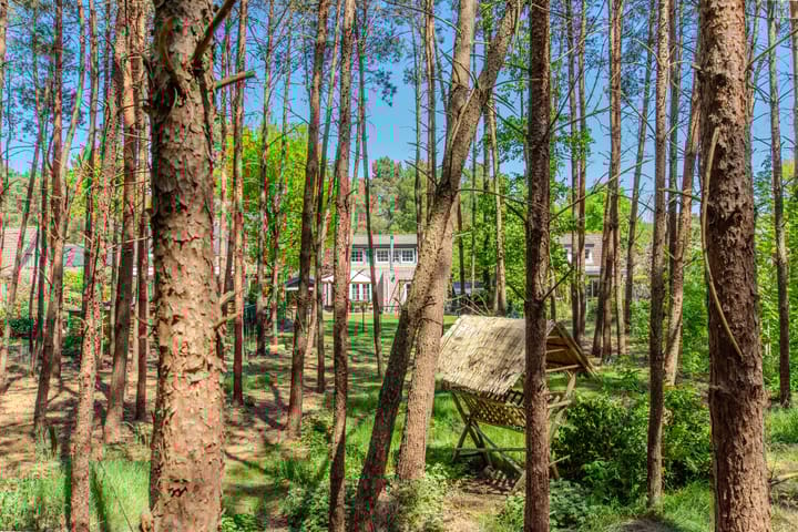 Photo 60 of Groenendries 50