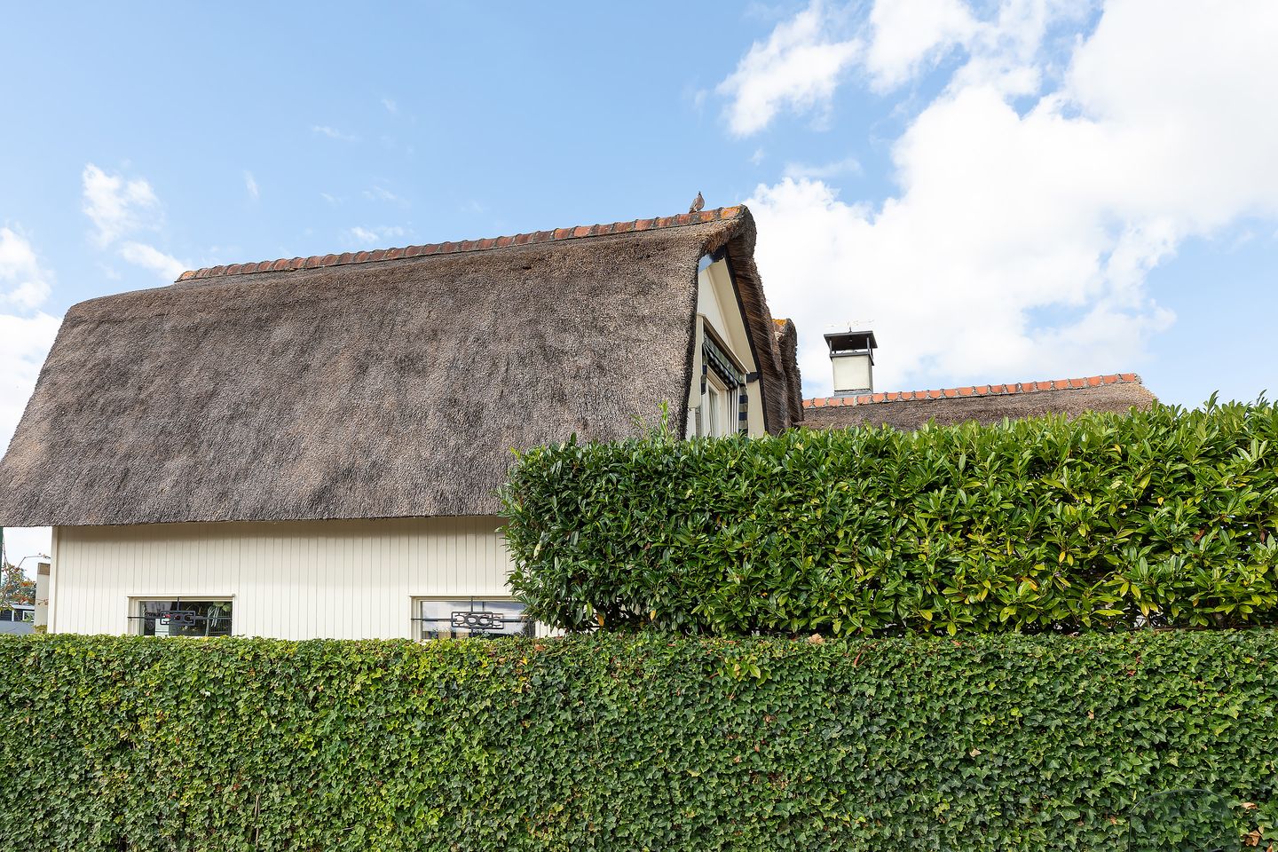 Foto 35 van Nieuw-Loosdrechtsedijk 219