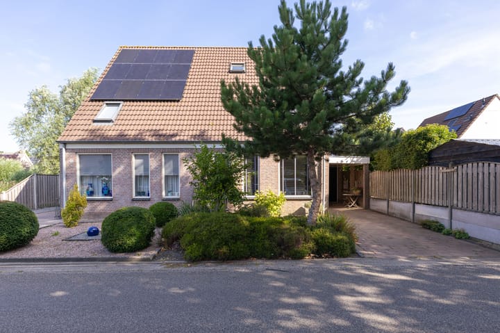 Foto 5 van Koperwiek 45