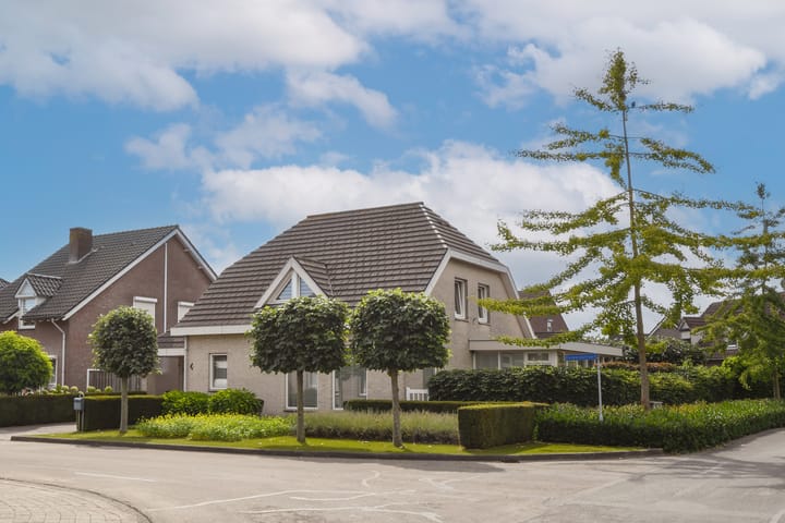 Foto 5 van Buizerdstraat 2