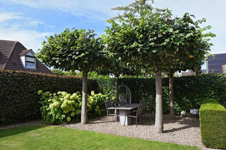 Foto 40 van Buizerdstraat 2