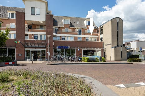 undefined main image