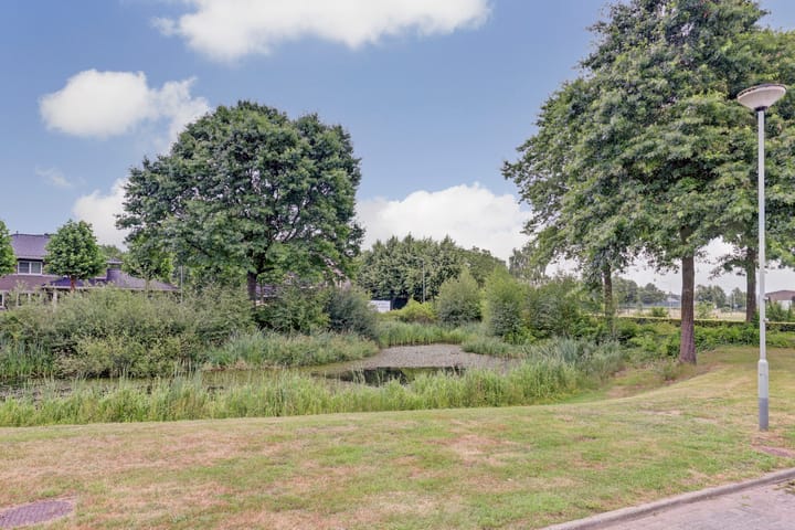 Foto 4 van Kromhals 10