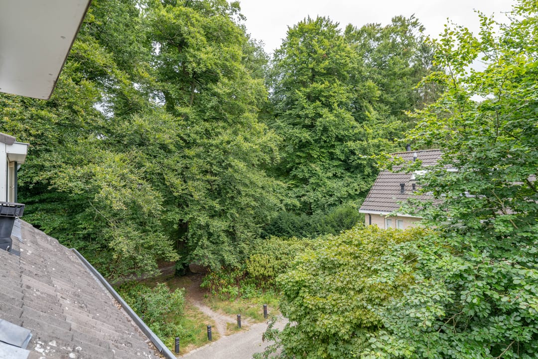 Foto 41 van Beukenhof 4