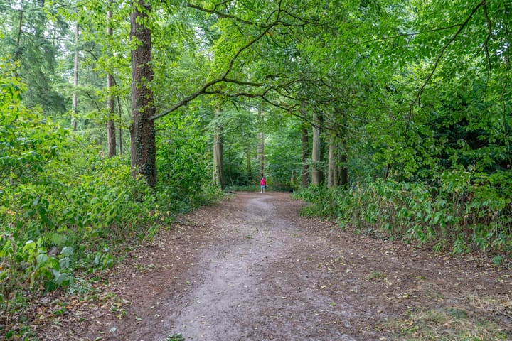 Foto 46 van Beukenhof 4