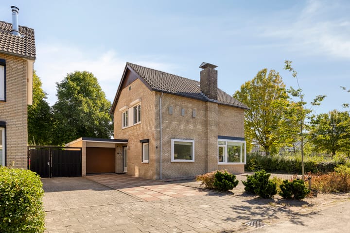 Foto 5 van Stephanusdonk 6