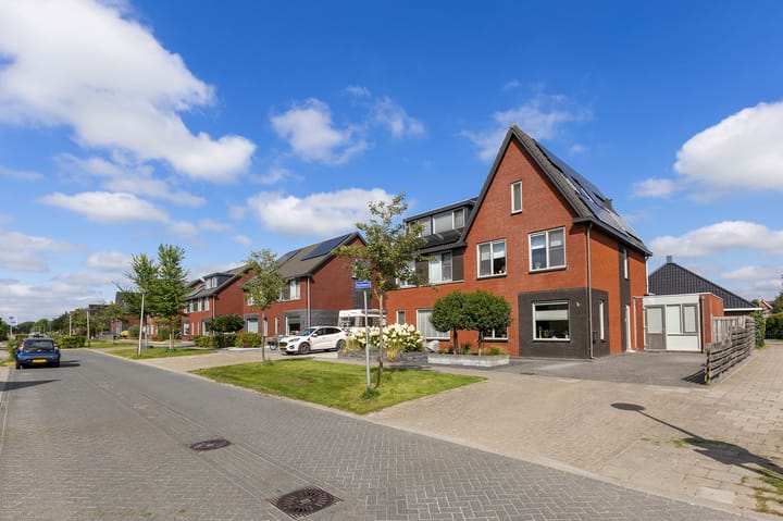 Foto 8 van Kuifeend 1