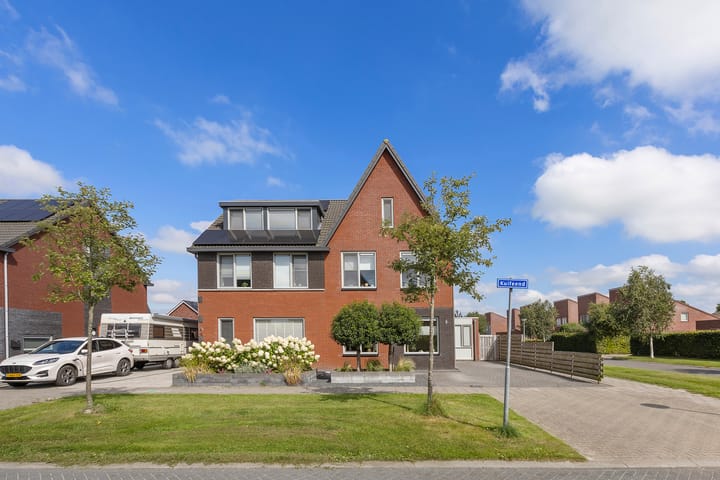 Foto 9 van Kuifeend 1