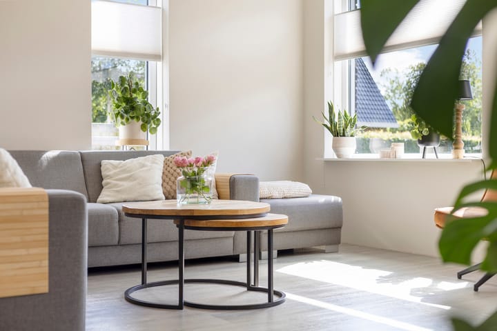 Foto 12 van Kuifeend 1