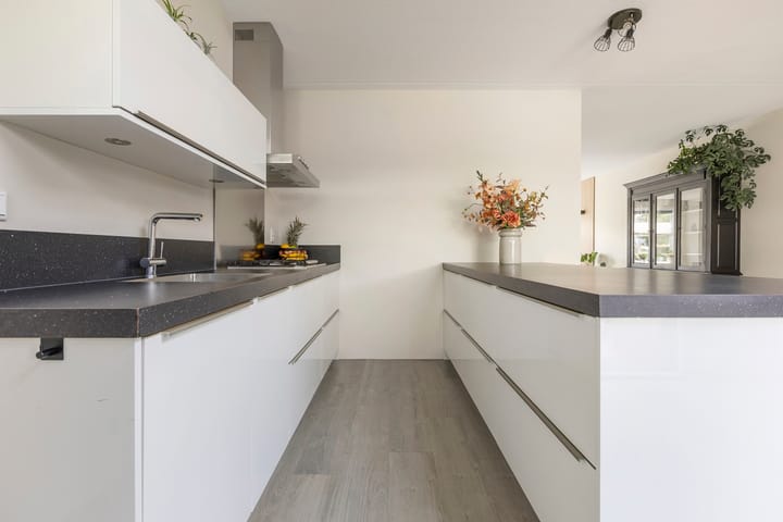 Foto 21 van Kuifeend 1