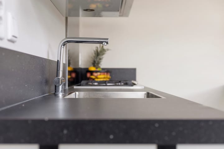 Foto 22 van Kuifeend 1