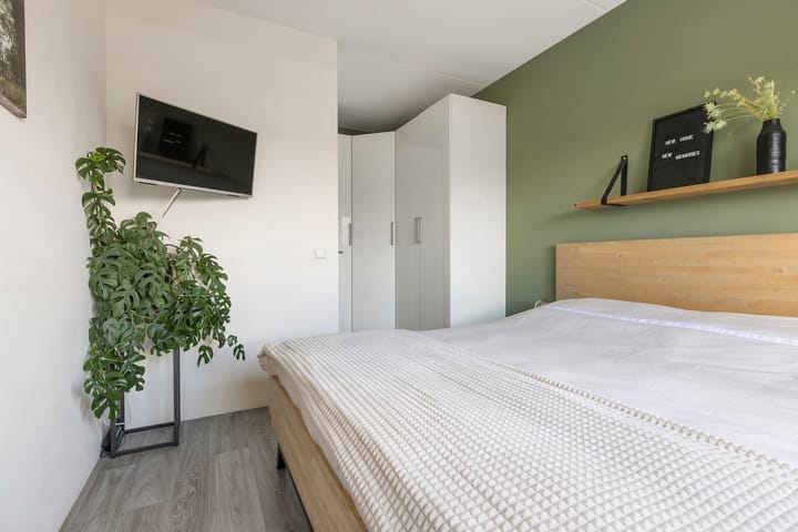 Foto 28 van Kuifeend 1