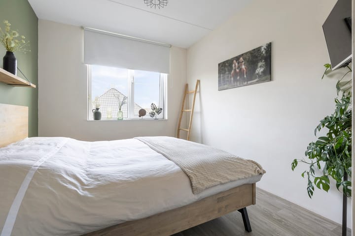 Foto 27 van Kuifeend 1