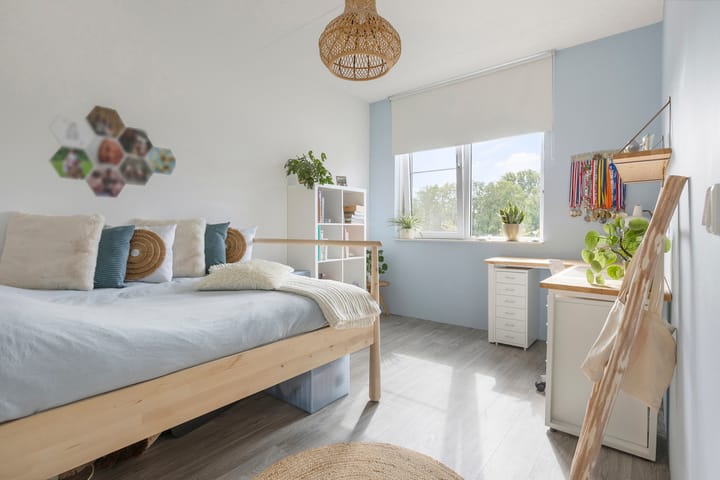 Foto 29 van Kuifeend 1