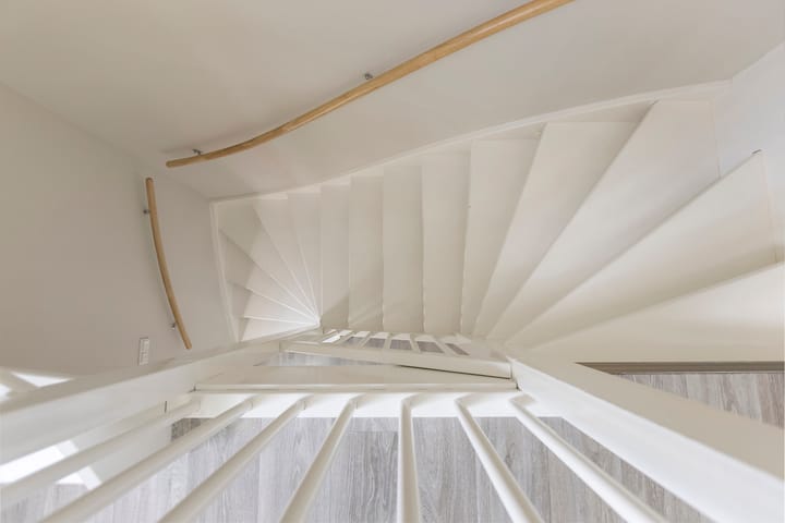 Foto 35 van Kuifeend 1