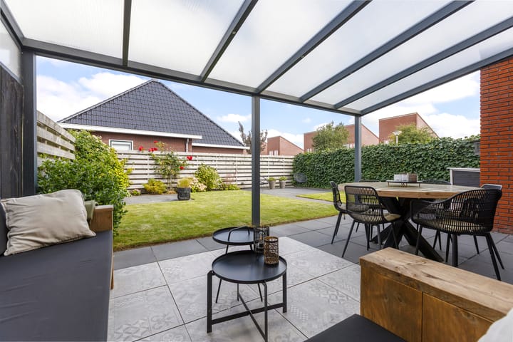 Foto 39 van Kuifeend 1