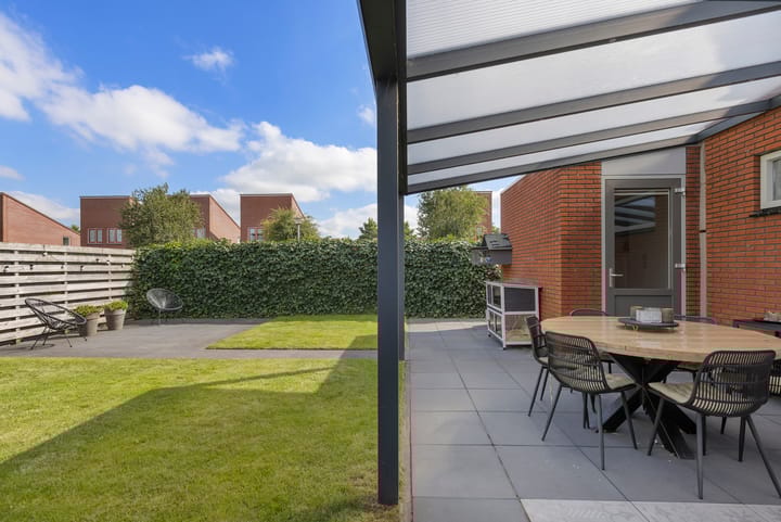 Foto 41 van Kuifeend 1