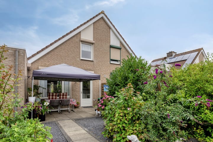 Foto 15 van Zwingelstraat 11