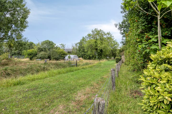 Foto 16 van Zwingelstraat 11