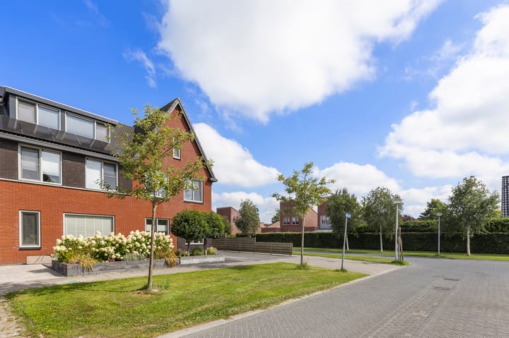 Foto 45 van Kuifeend 1