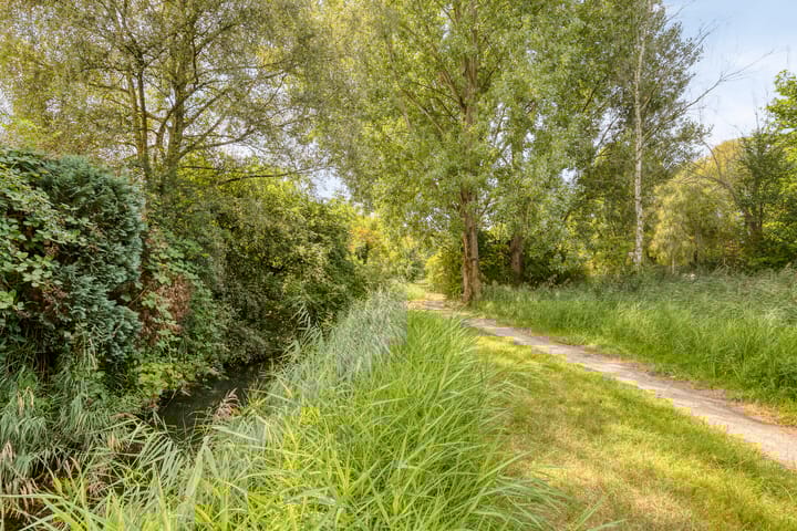 Foto 53 van Steve Bikostraat 2