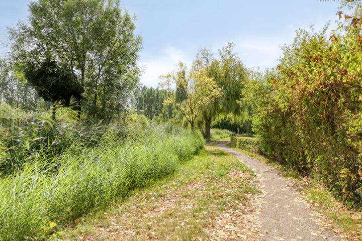 Foto 51 van Steve Bikostraat 2