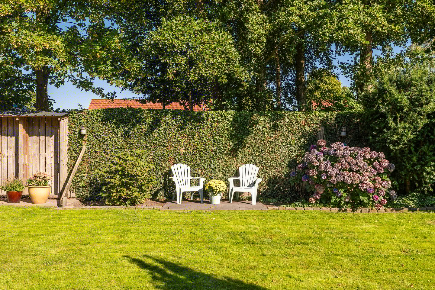 Foto 29 van Brongersmastrjitte 4