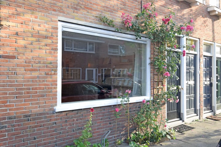 Foto 2 van Nicolaas Sopingiusstraat 21