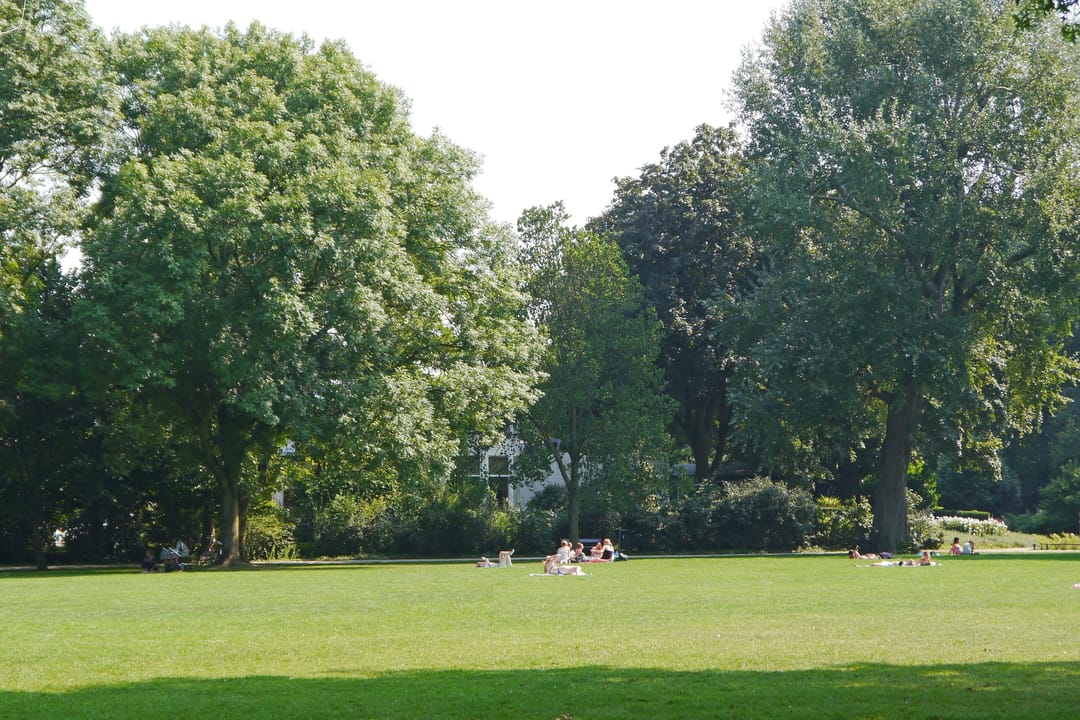 Foto 31 van Nicolaas Sopingiusstraat 21