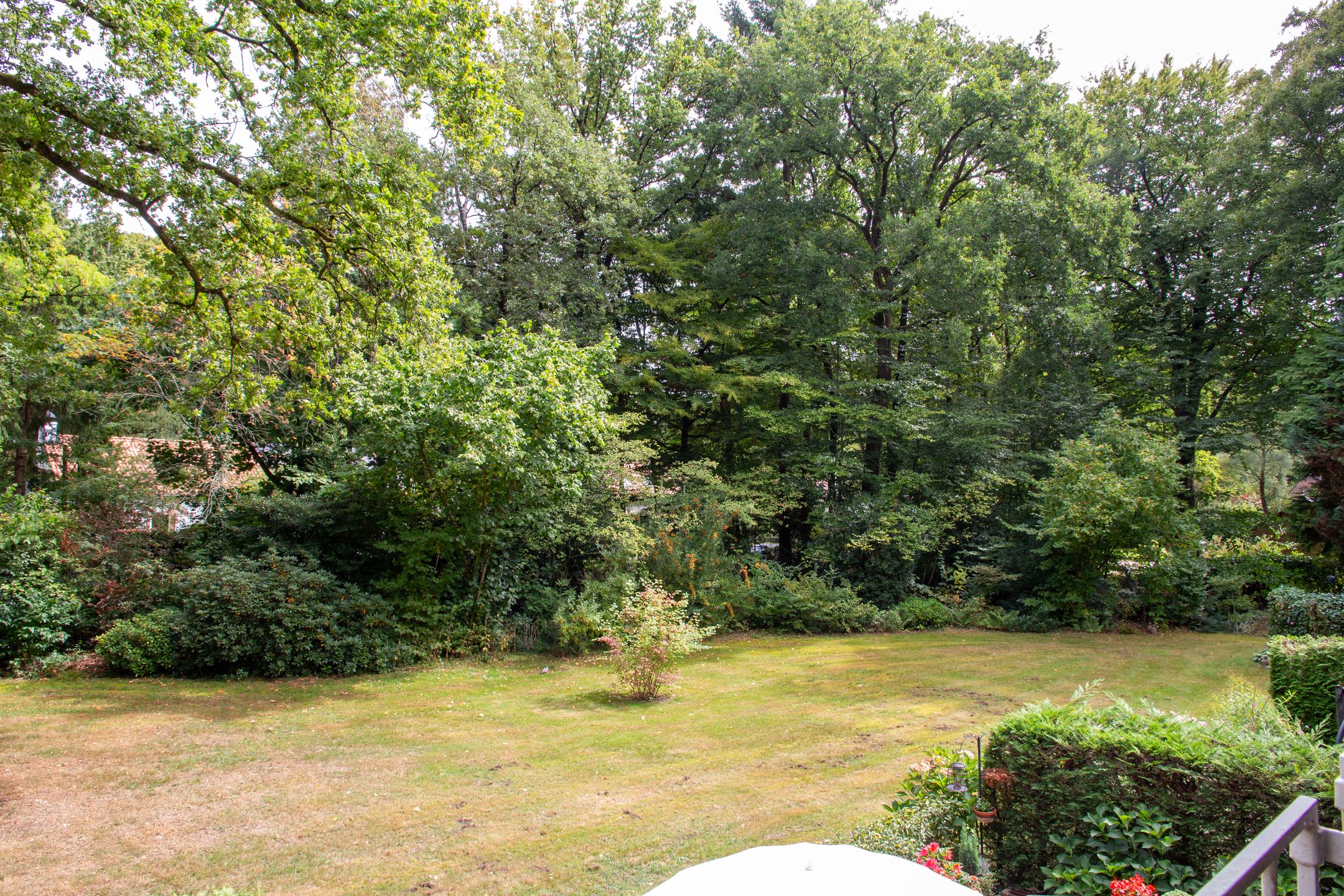 Photo 15 of Park Rodichem 90