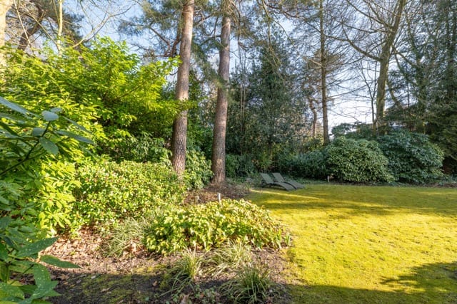 Photo 3 of Hobbemalaan 63