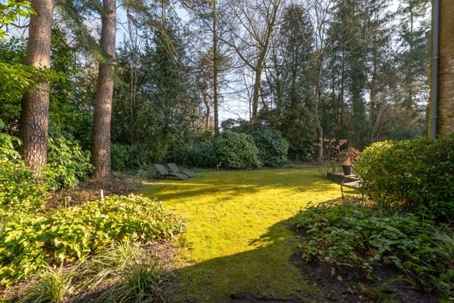 Photo 49 of Hobbemalaan 63