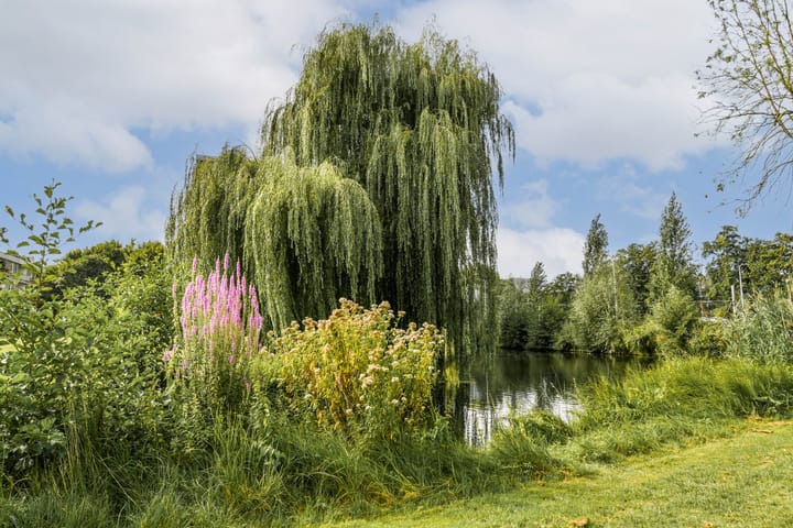 Photo 35 of Westelijk Halfrond 379