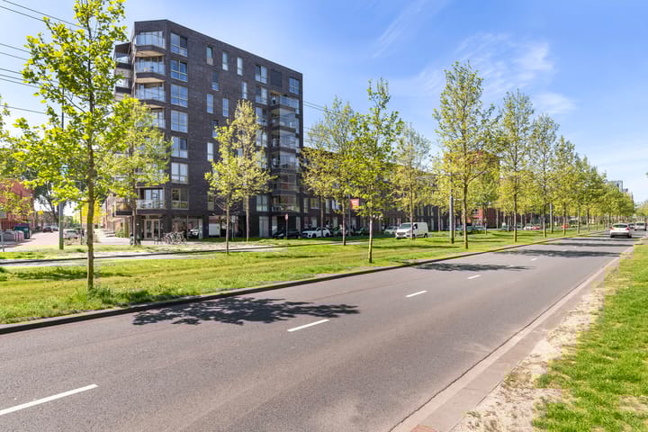 Foto 2 van Laan op Zuid 1445