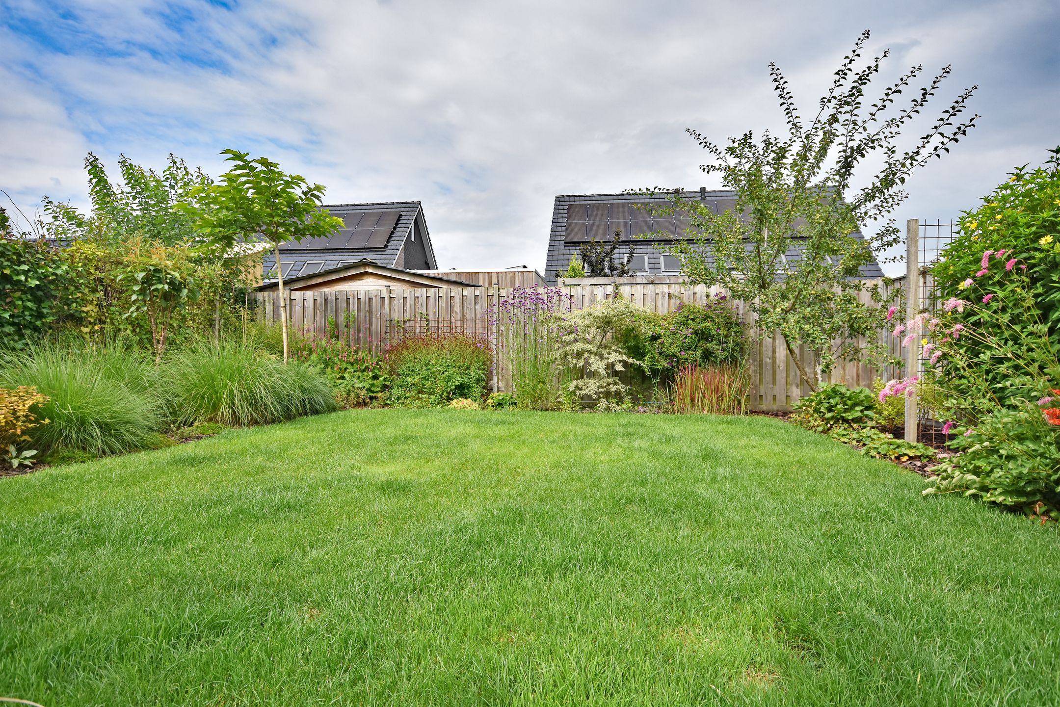 Photo 9 of Boskkamp 9