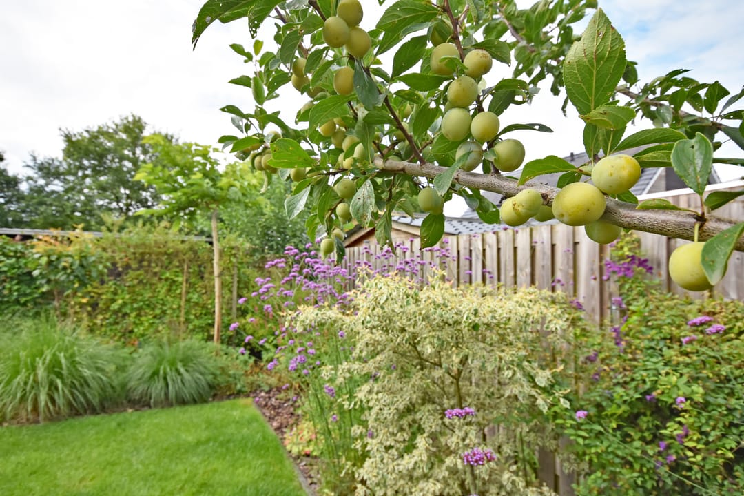 Photo 13 of Boskkamp 9