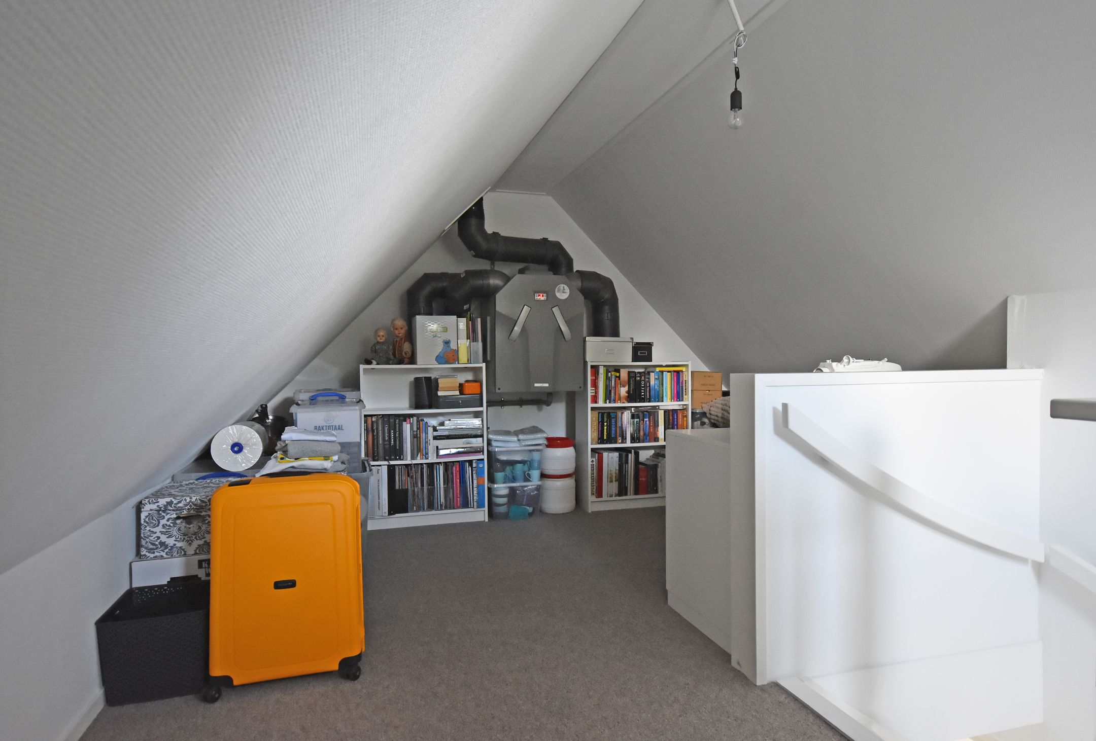 Photo 54 of Boskkamp 9