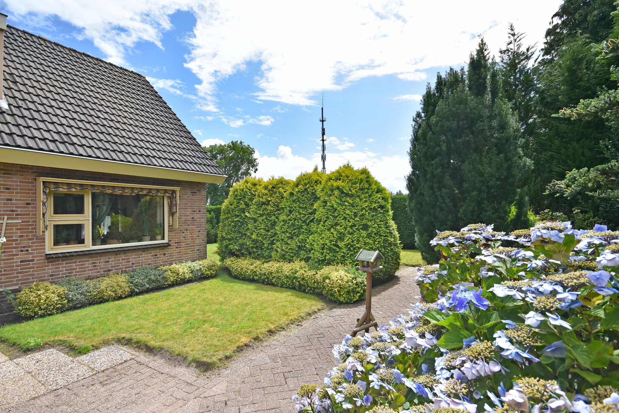 Foto 12 van Fogelsang 24