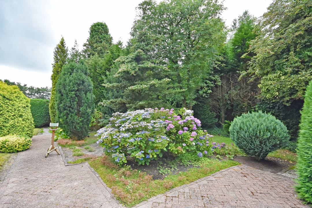 Foto 16 van Fogelsang 24