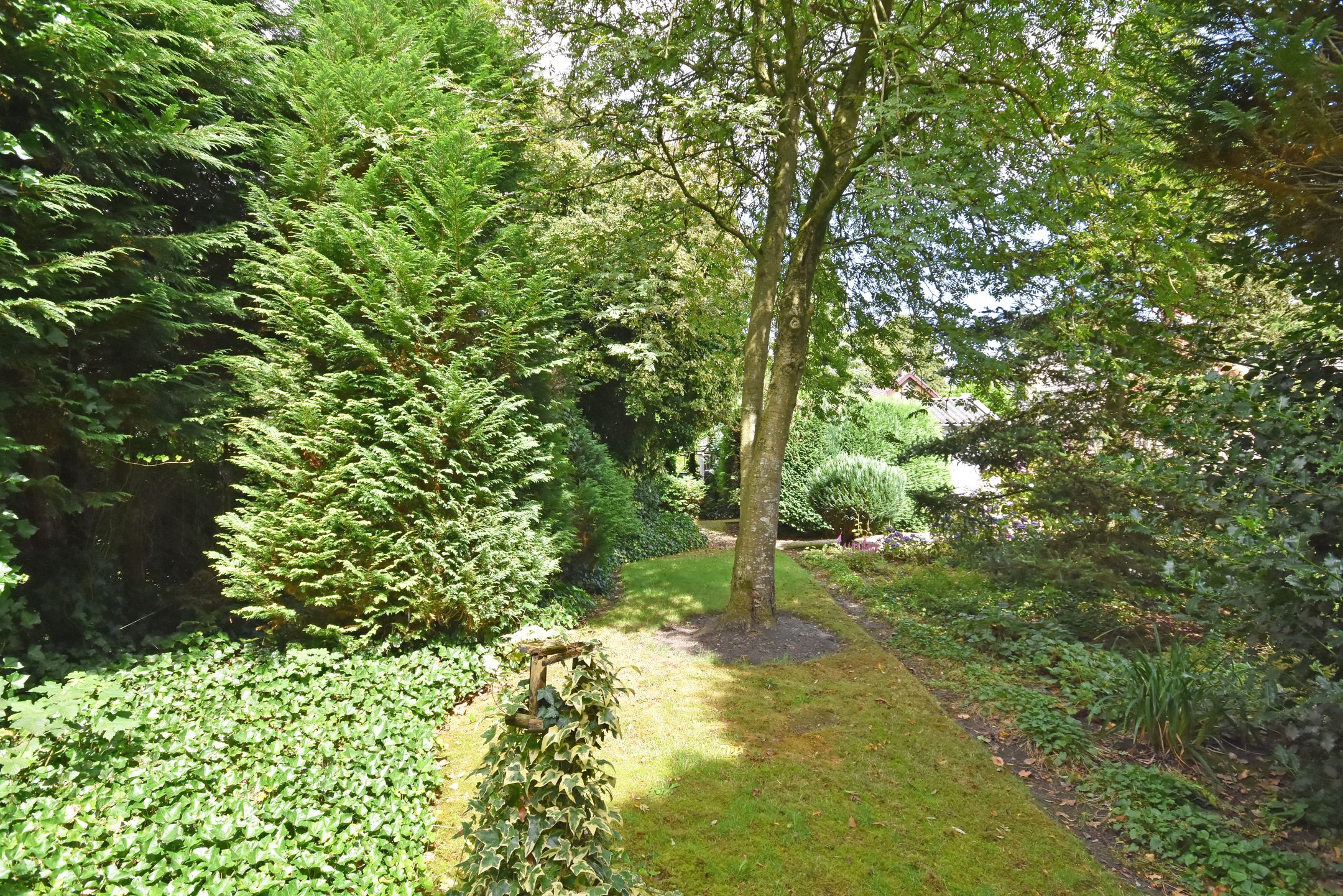 Foto 18 van Fogelsang 24