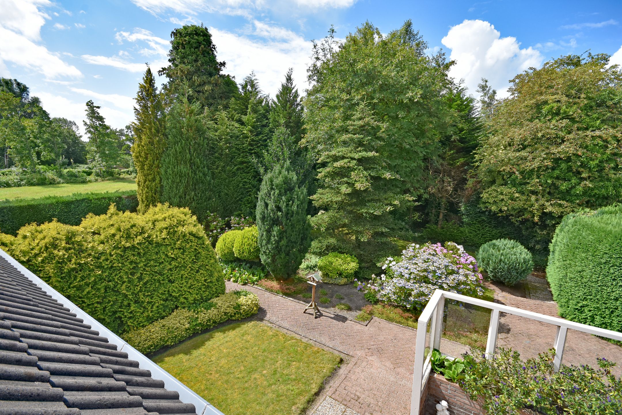 Foto 21 van Fogelsang 24