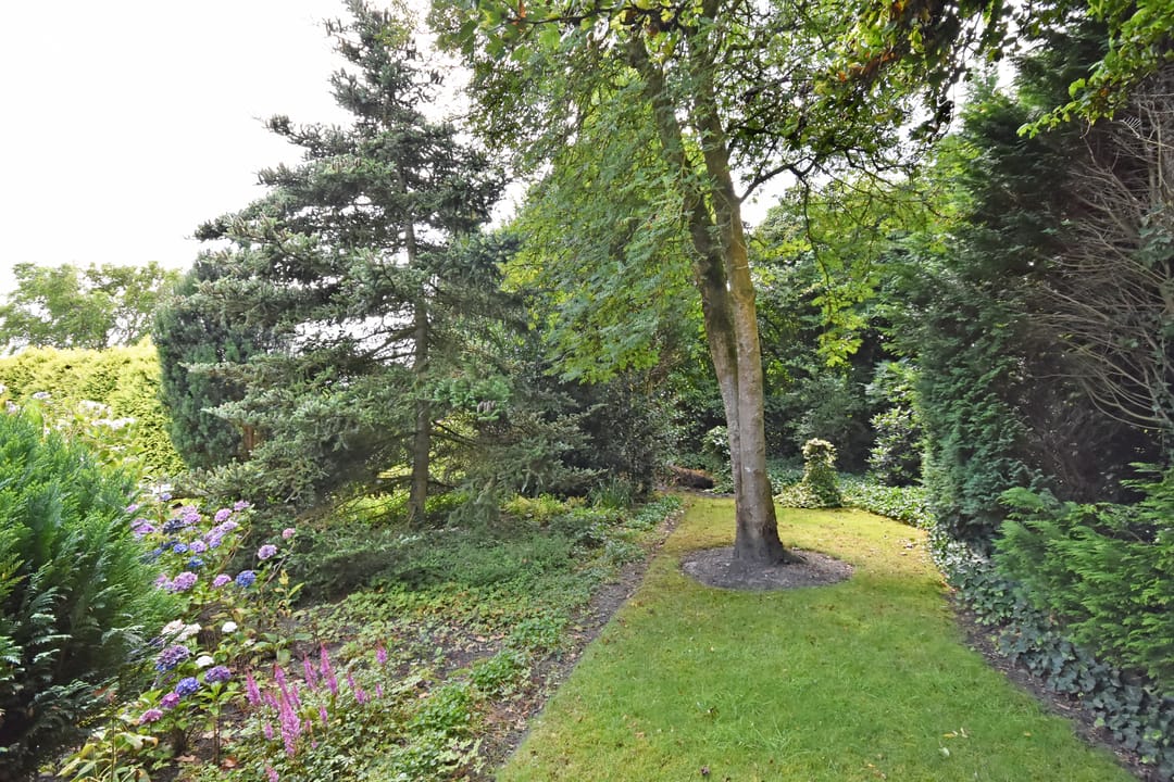 Foto 17 van Fogelsang 24