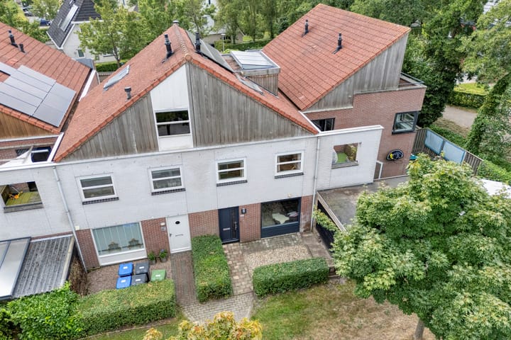 Foto 5 van Citroenvlinder 172